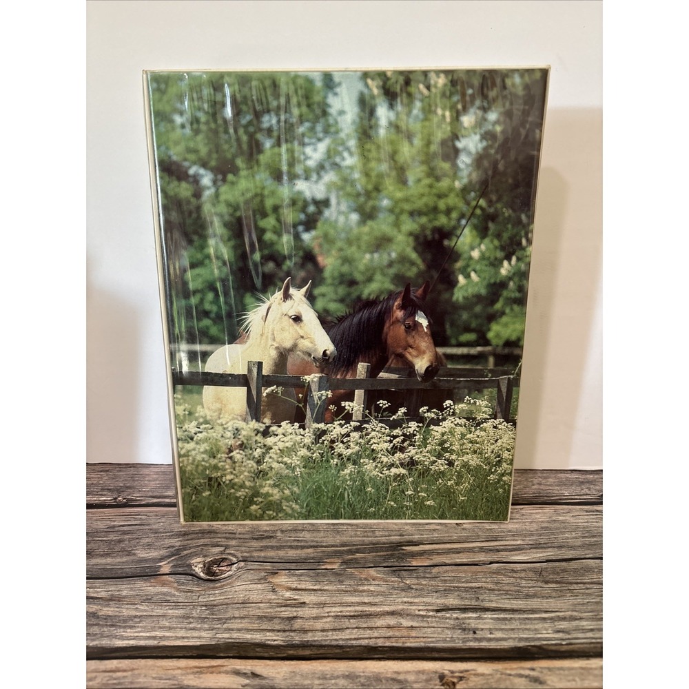 Vintage 1980's Mead The Organizer Trapper Keeper Style 3 ring Binder HORSES